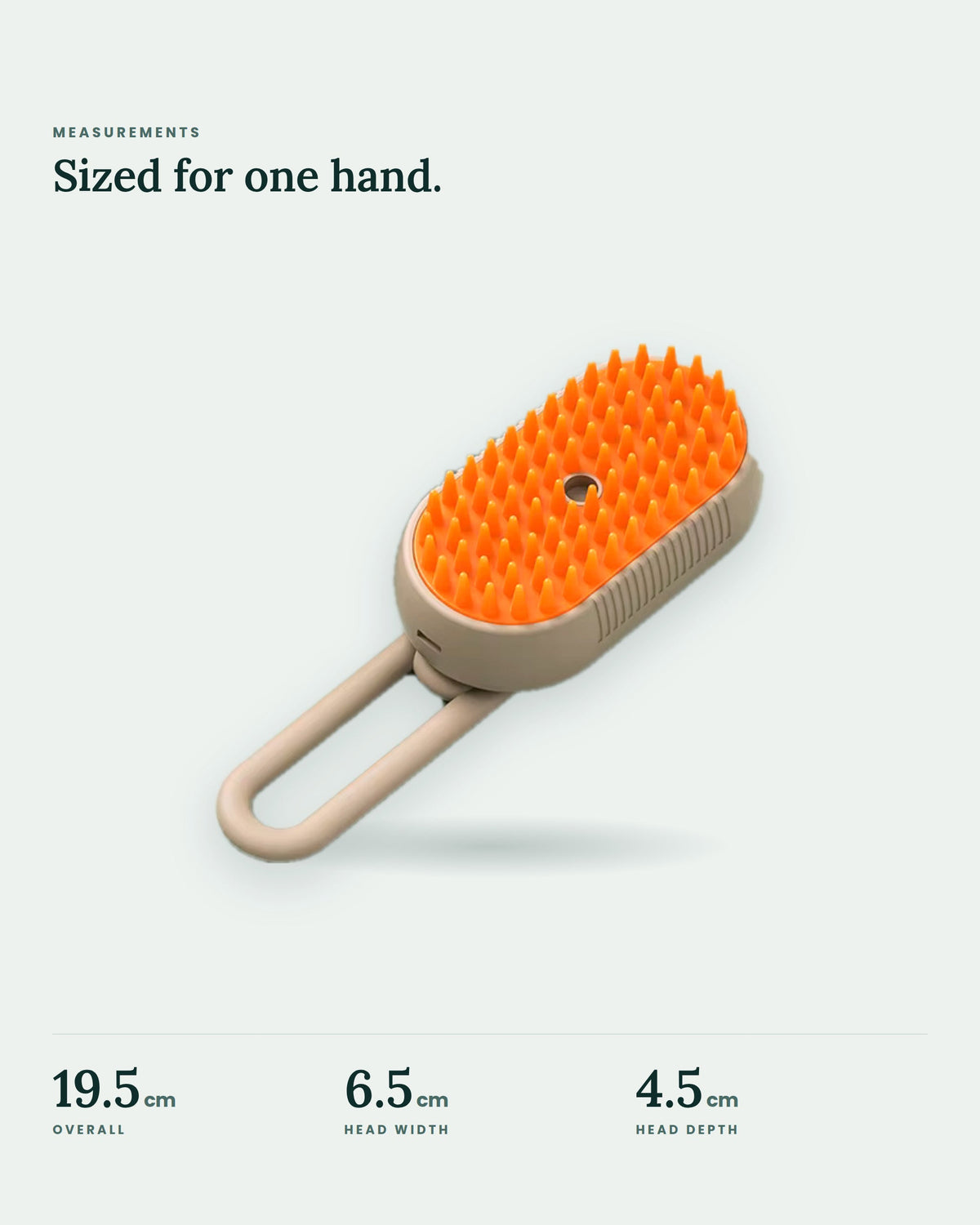 Brush measurements: 19.5 cm overall length, head 6.5 cm wide and 4.5 cm deep